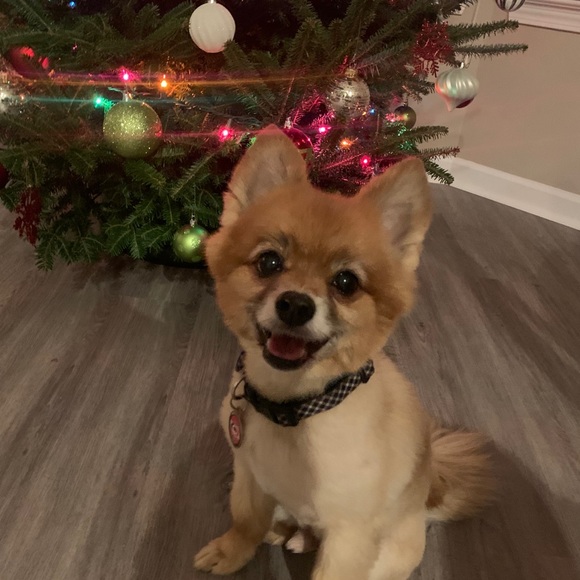 Meet your Posher, Angela - Picture 1 of 1